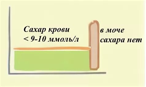 Почему сахар вечером выше. Сахар в моче. Сахара нет объявление. В моче ведь тоже сахар есть картинки. Не будет сахара в моче.