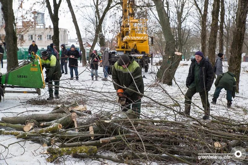 Зеленстрой партизанского. Зеленстрой партизанского