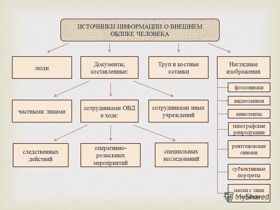 Составляющие внешнего облика. Источники информации о внешнем облике человека. источники информации о внешнем облике человека криминалистика. источники информации о признаках внешнего облика человека. назовите источники информации о внешнем облике человека.