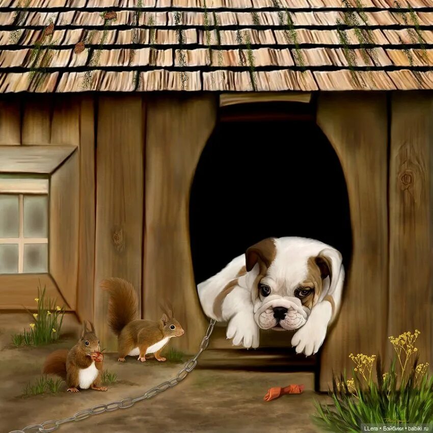 Красивый дом для собаки. Dog in. Креативный дом. Собака с конурой. The dogs are in the house.