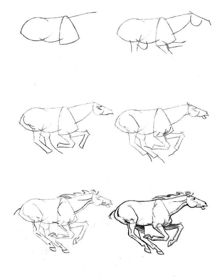 Рисуем лошадь поэтапно. Лошадь рисунок. Поэтапный рисунок лошади. Лошадь карандашом. Лошадь рисунок карандашом.