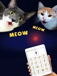 Swk hi cat app