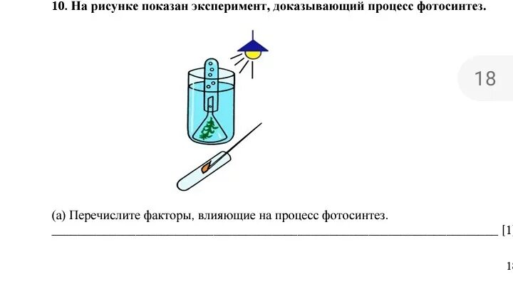 Опыт изображенный на рисунке служит доказательством биология. Опыты доказывающие фотосинтез. Рисунок опыт доказывающий процесс фотосинтеза. Что доказывает опыт, изображённый на рисунке?. На рисунке изображён опыт доказывающ.