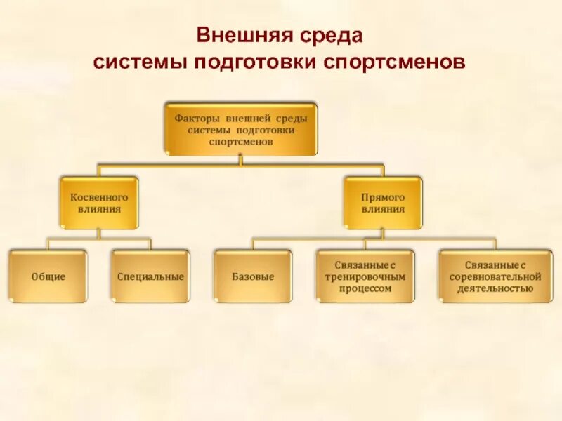 Подготовка окружение. Современная система подготовки спортсменов. Подготовка спортсмена факторы. Система подготовки среды. Факторы внешней среды при подготовке спортсмена.