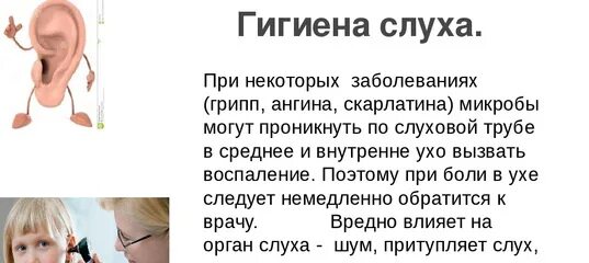 Статья про слух. Гигиена органов слуха. памятка гигиена слуха. профилактика органов слуха. памятку по гигиене органа слуха.