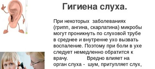 Не называй это в слух. Памятка гигиена органов слуха. Гигиена органов слуха биология 8 класс. Памятку по гигиене органа слуха. Гигиена органов слуха памятка для детей.