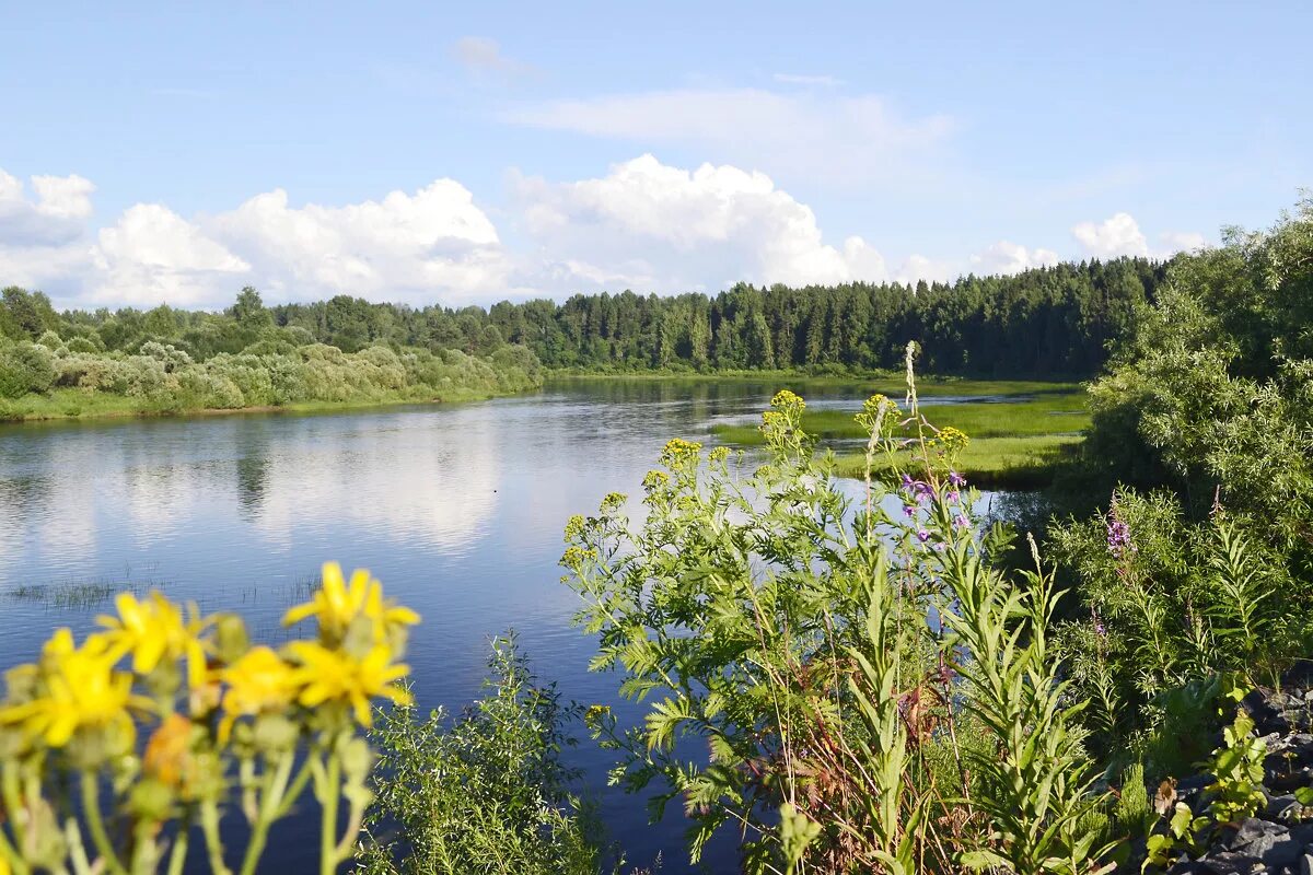 река верюга устьянского района. устье архангельская область. река устья октябрьский устьянский район. устье архангельская область. устье архангельская область.