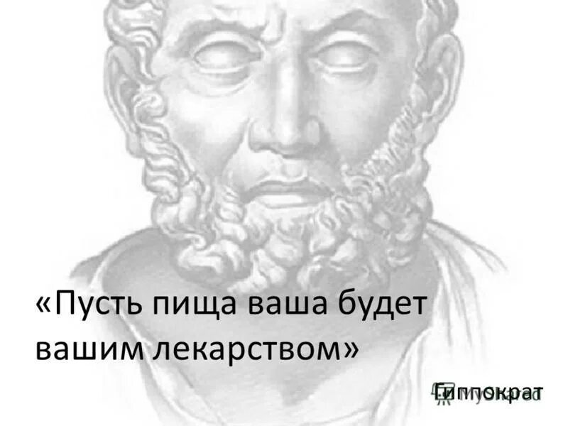 пусть ваша пища будет вашим лекарством. пусть пища будет лекарством. пусть пища будет вашим лекарством. пусть пища будет вашим лекарством. пусть пища будет вашим лекарством.
