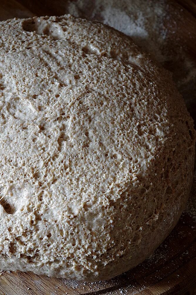 Фото теста ржаного в ведёрке. Ржаное тесто. Выпечка хлеба. Хлеб без дрожжей. Тесто для ржаного хлеба.