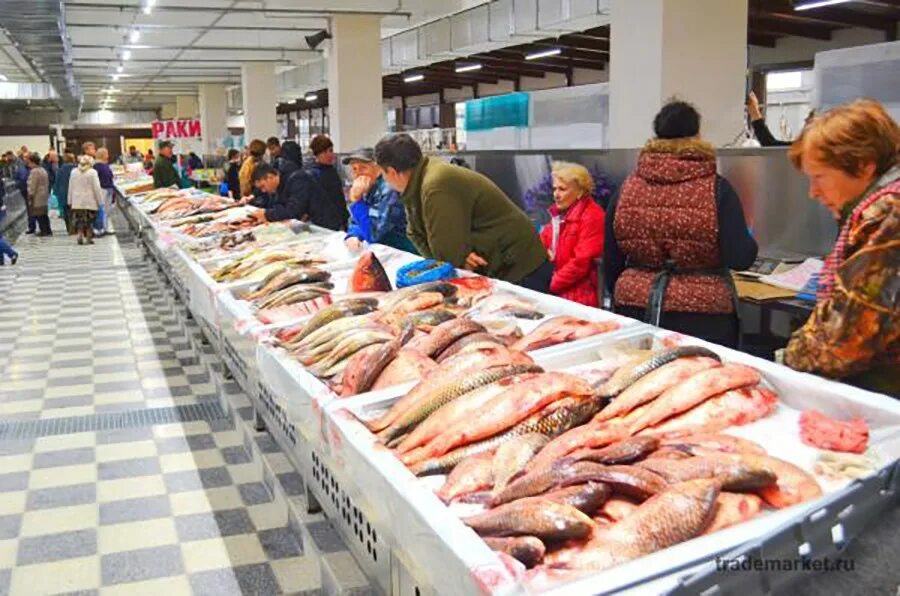 Рыбный центр. Рыбный центр. Рыбный рынок во вьетнаме. Ростов центральный рынок рыбный павильон. Рыбный рынок в египте.
