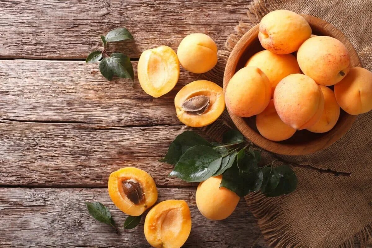 Абрикос фото. Apricots – абрикосы. Скраб абрикос Apricot Scrub. Абрикос горный Абакан. Урюк ягода.