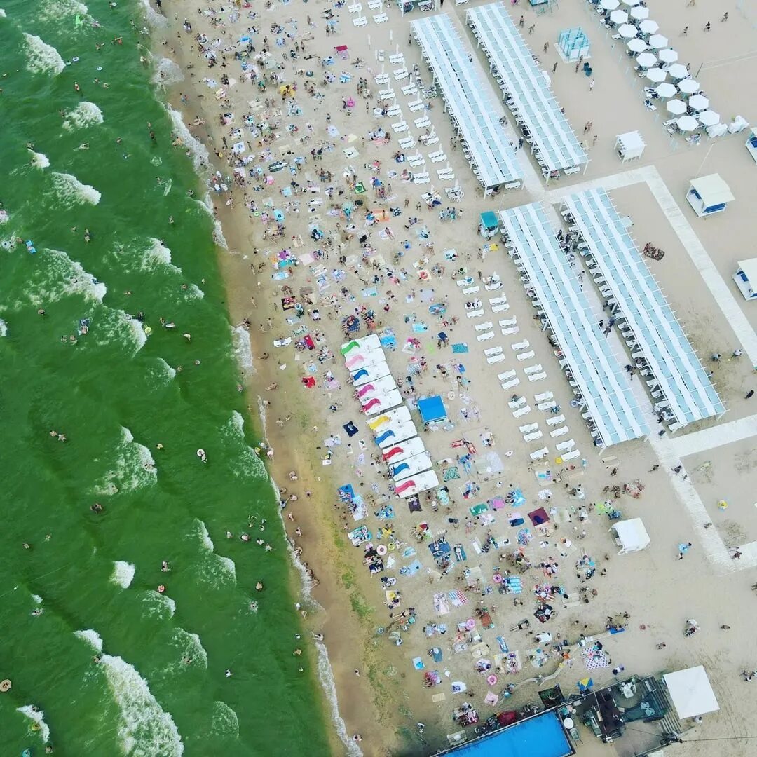 Почему в анапе нет света. Черное море цветет анапа. море в анапе зеленое 2025 анапа. цветение водорослей в анапе витязево. джемете анапа море цветет.