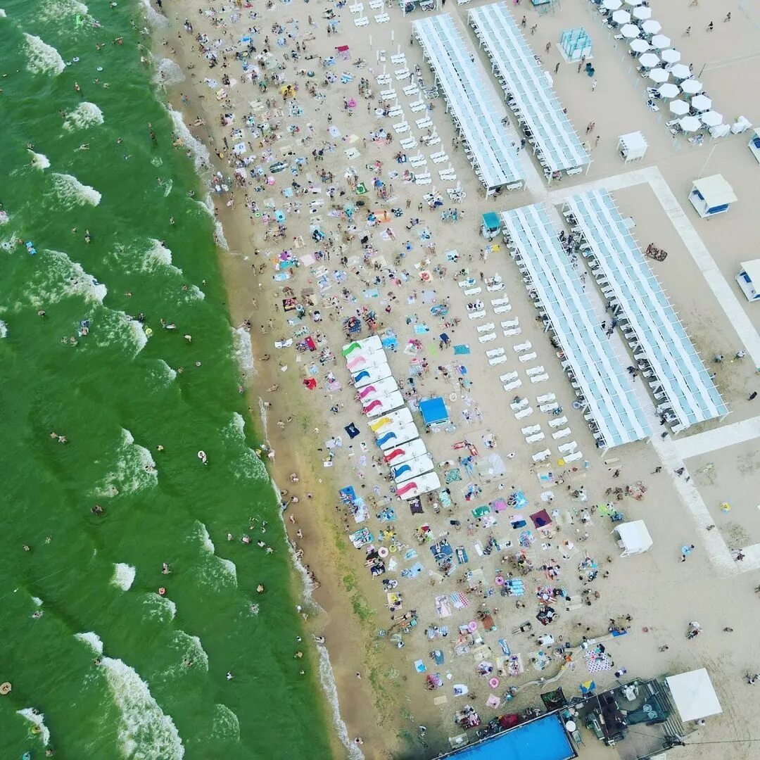 Цветет ли анапа. Черное море Анапа цветет водоросли. В Анапе зацвело море. В Анапе позеленело море. Море в Анапе зеленое 2022 Анапа.