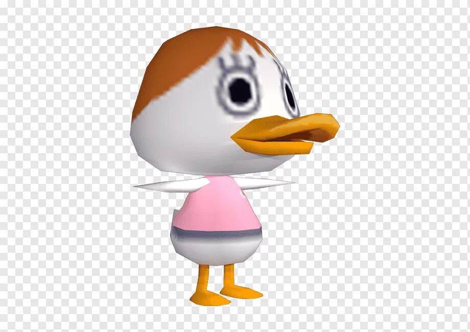 Duck s