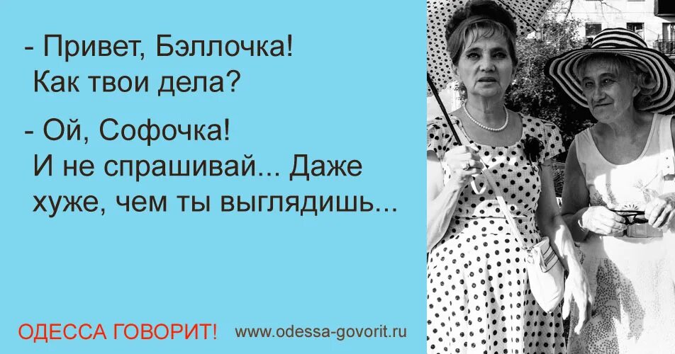 Как твои дела. Как твои дела фото. Как твои дела юмор. Как твои дела прикол.