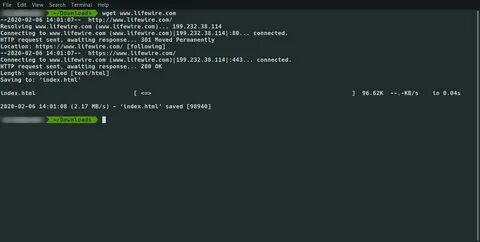 Wget unable to resolve host address