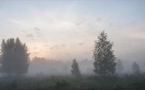 Даль тумана
