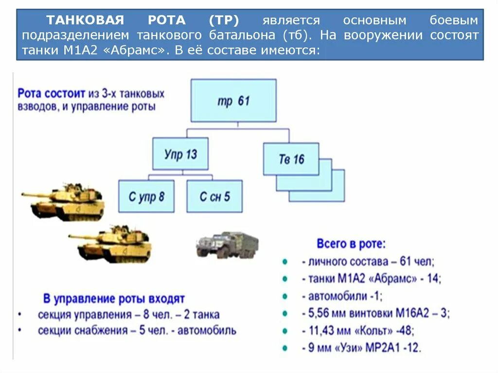 Танковая рота Российской армии. Танковая рота численность танков РФ. Танковый батальон численность танков РФ. Танковый взвод численность танков.