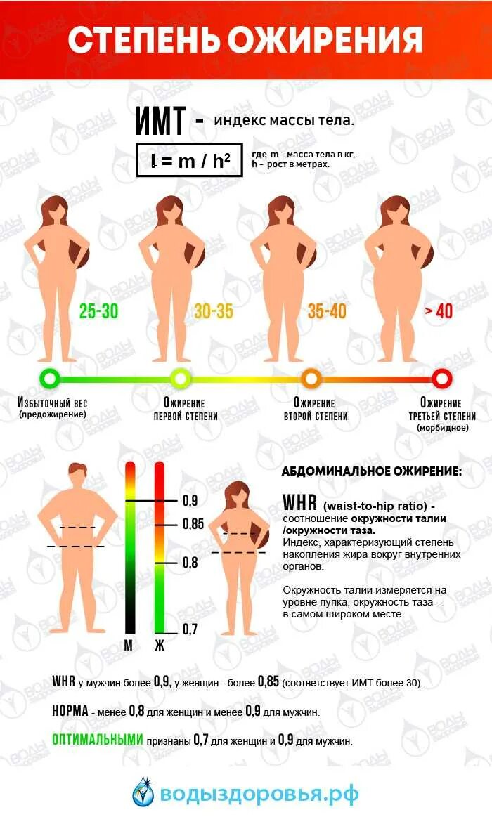 Ожирение первой степени второй и третьей. Ожирение 2 степени у мужчин ИМТ. Ожирение 1 степени. Ожирение по степеням.