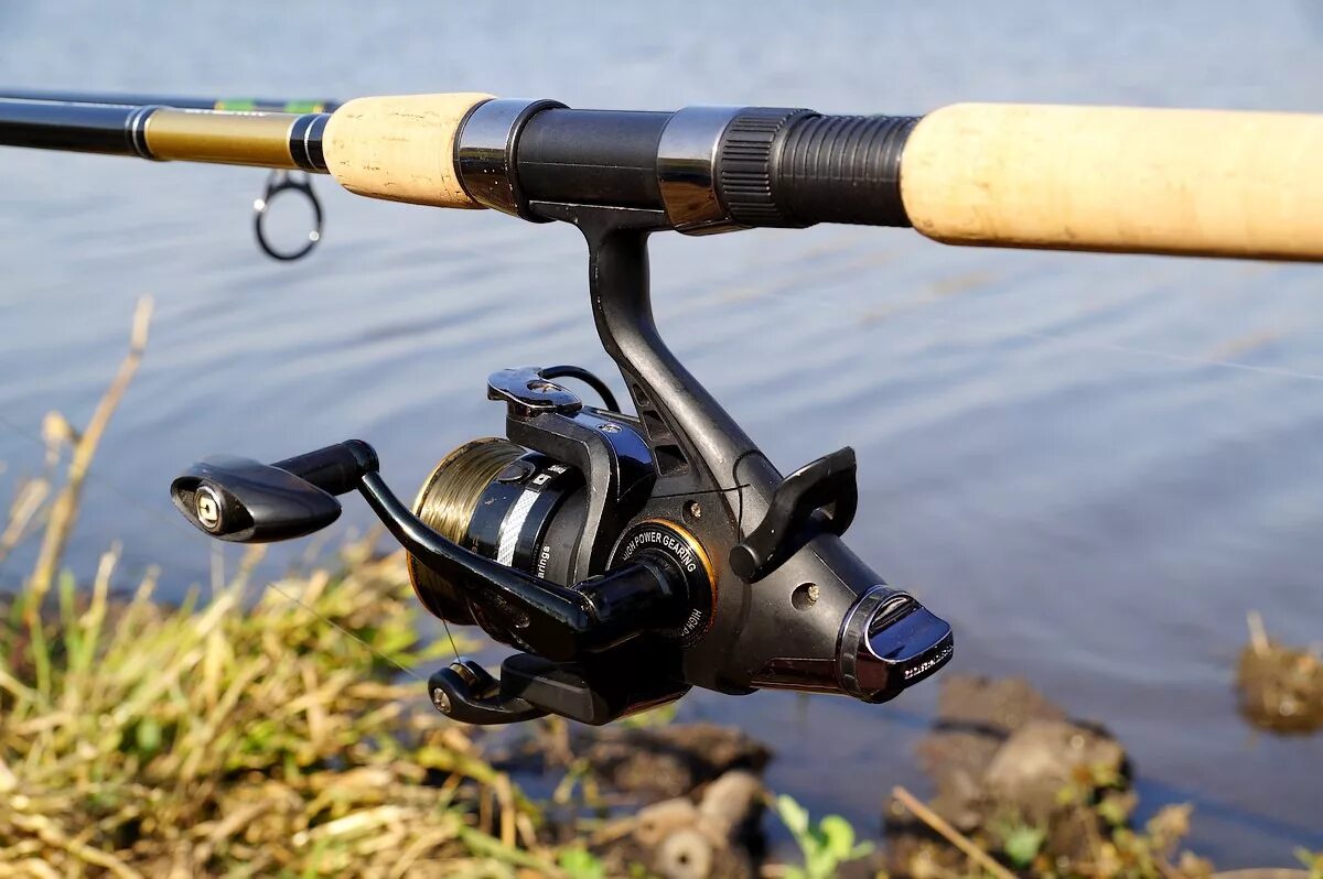 Какую катушку для фидера. Катушка фидерная regseta 3000. Какую катушку для фидера. Какую катушку для фидера. Катушка шимано 5000 для фидера.