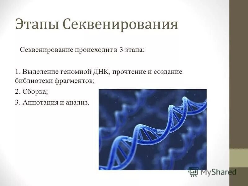 анализ данных секвенирования
