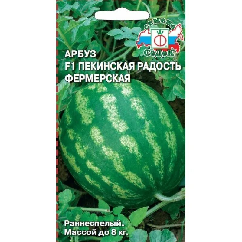 Арбуз пекинское. Арбуз большая пекинская радость f1 СЕДЕК. Арбуз пекинская радость фермерская f1. Арбуз сорт пекинская радость. Арбуз Пекин f1.