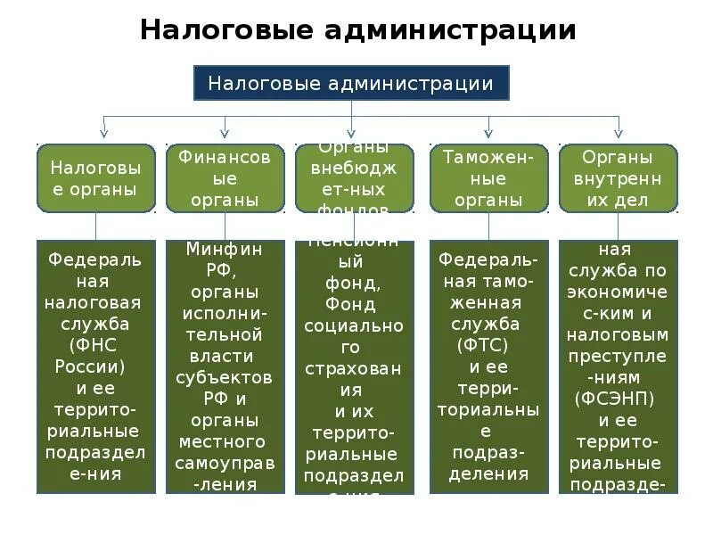 Органы налоговой администрации