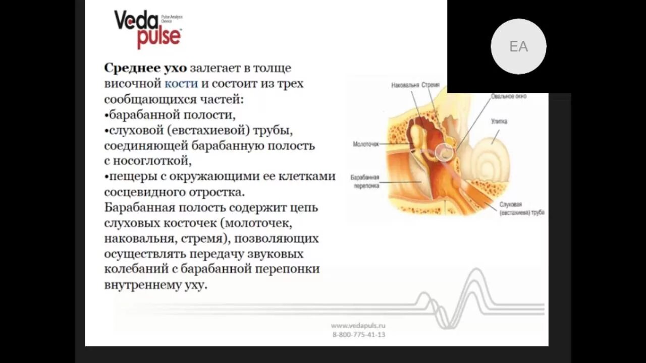 Тубоотит сколько длится