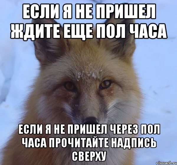 Приду звони. Когда клиент не пришел. Сказал приеду. Не ждите меня.