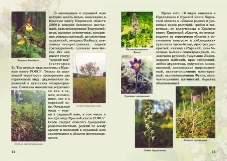 Кировские растения