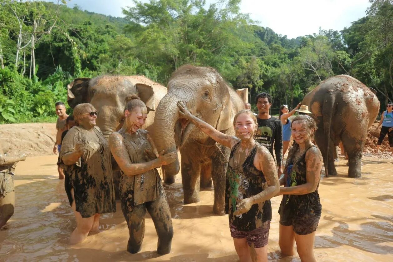 Elephant sanctuary park. Пхукет Элефант Санктуари. Элефант парк Пхукет. Парк слонов Пхукет. Санктуарий слонов Пхукет.