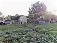 Терновка саратовской погода