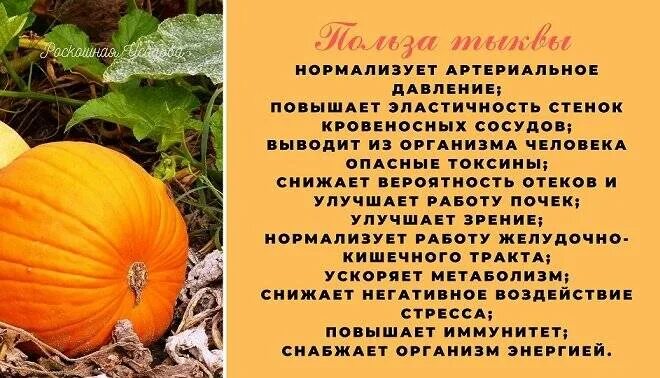 Полезные вещества в тыкве. Чем полезна тыква. Чем полезна тыква для организма. Тыква польза и вред для организма женщины. Полезные вещества в тыкве.