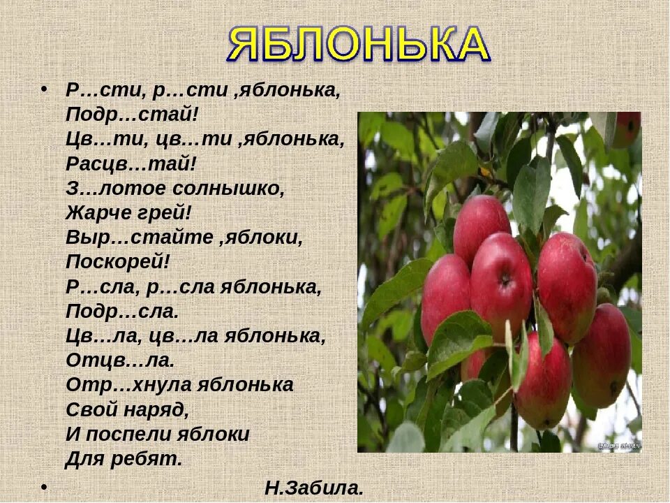 Яблонька текст. Стих про яблоню. Стих про яблоню для детей. Стих про яблоньку для детей. Расти расти Яблонька подрастай Цвети.