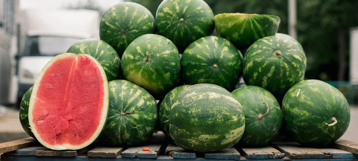 Розовый арбуз. Арбуз. Самый большой арбуз в мире 122 кг. Какой самый лучший арбуз. Черный арбуз.