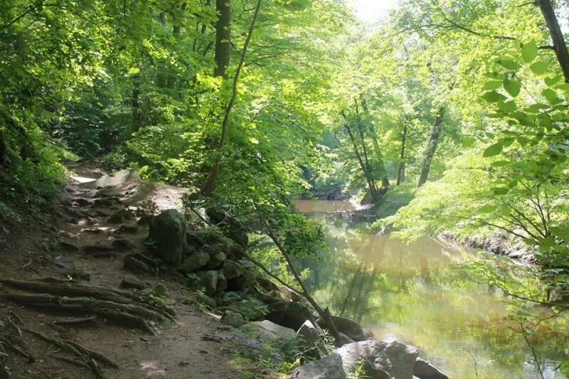 Creek park. Rock creek. Парк рок крик в вашингтоне. Парк кричим. Rock creek.