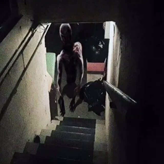 Владимир мосс. Вызывающие страх. Джошуа хоффин детские страхи. Вызывающие страх. Вызывающие страх.