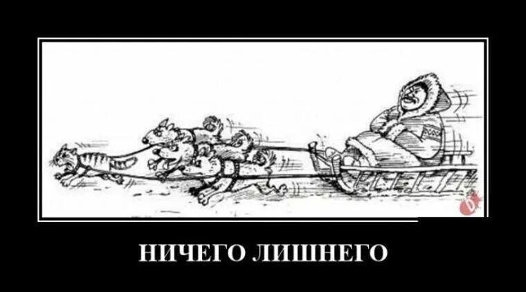 Демотиваторы новые. Демотиваторы свежие 2024. Демотиваторы 2021. Юмор картинки демотиваторы. Демотиваторы 2023 смешные.