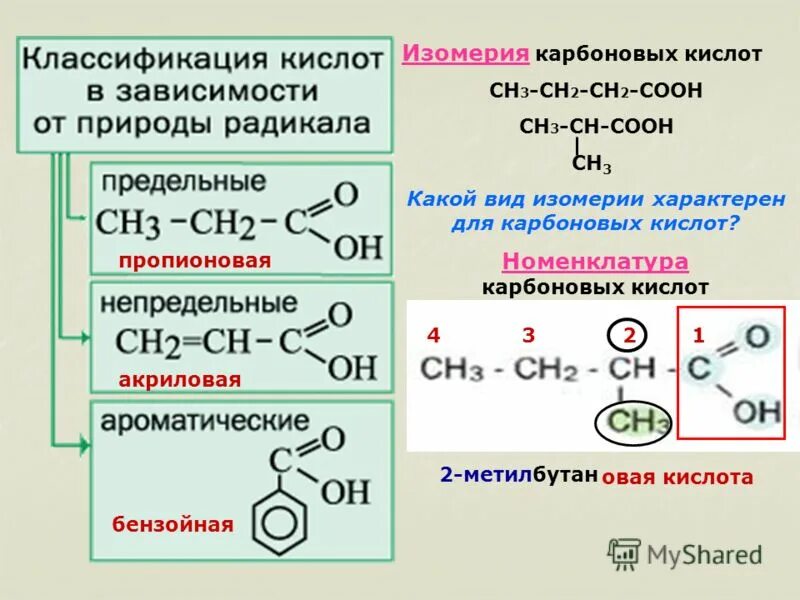 Виды изомерии предельных карбоновых кислот