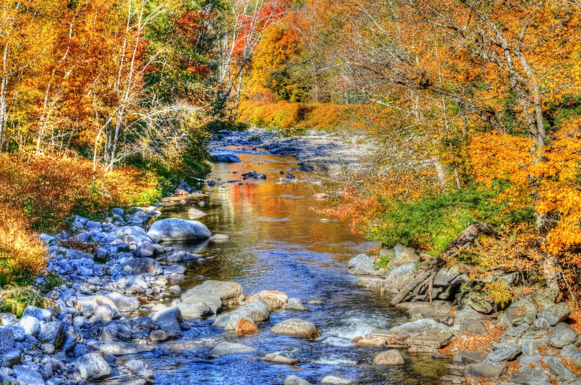 Ручей осенью. Осенний ручей. Осень лес ручей. Ручей в осеннем лесу. Осенний лес с ручьём.