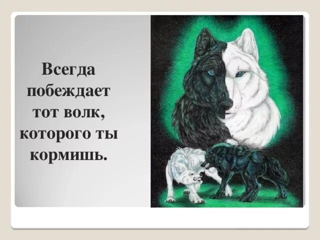 Есть добрые волки. Побеждает волк которого кормишь. Всегда побеждает тот волк которого ты кормишь. Притча о волках о добре и зле. Притча о двух волках.