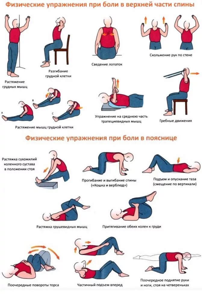 Что лучше при болях в пояснице. Упражнения для укрепления мышц спины и позвоночника гимнастика. ЛФК для спины упражнения укрепления мышц. Гимнастика для укрепления мышц спины и позвоночника в поясницы. Упражнения ЛФК при протрузии поясничного отдела позвоночника.