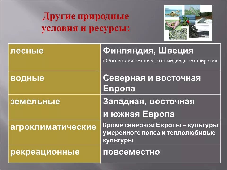 Южная африка особенности природно ресурсного капитала. Ресурсы Северной Европы таблица. Природные ресурсы Европы. Природные ресурсы Европы таблица. Природные условия и ресурсы Северной Европы таблица.