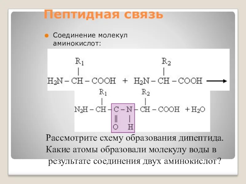 Пептидные связи соединяют