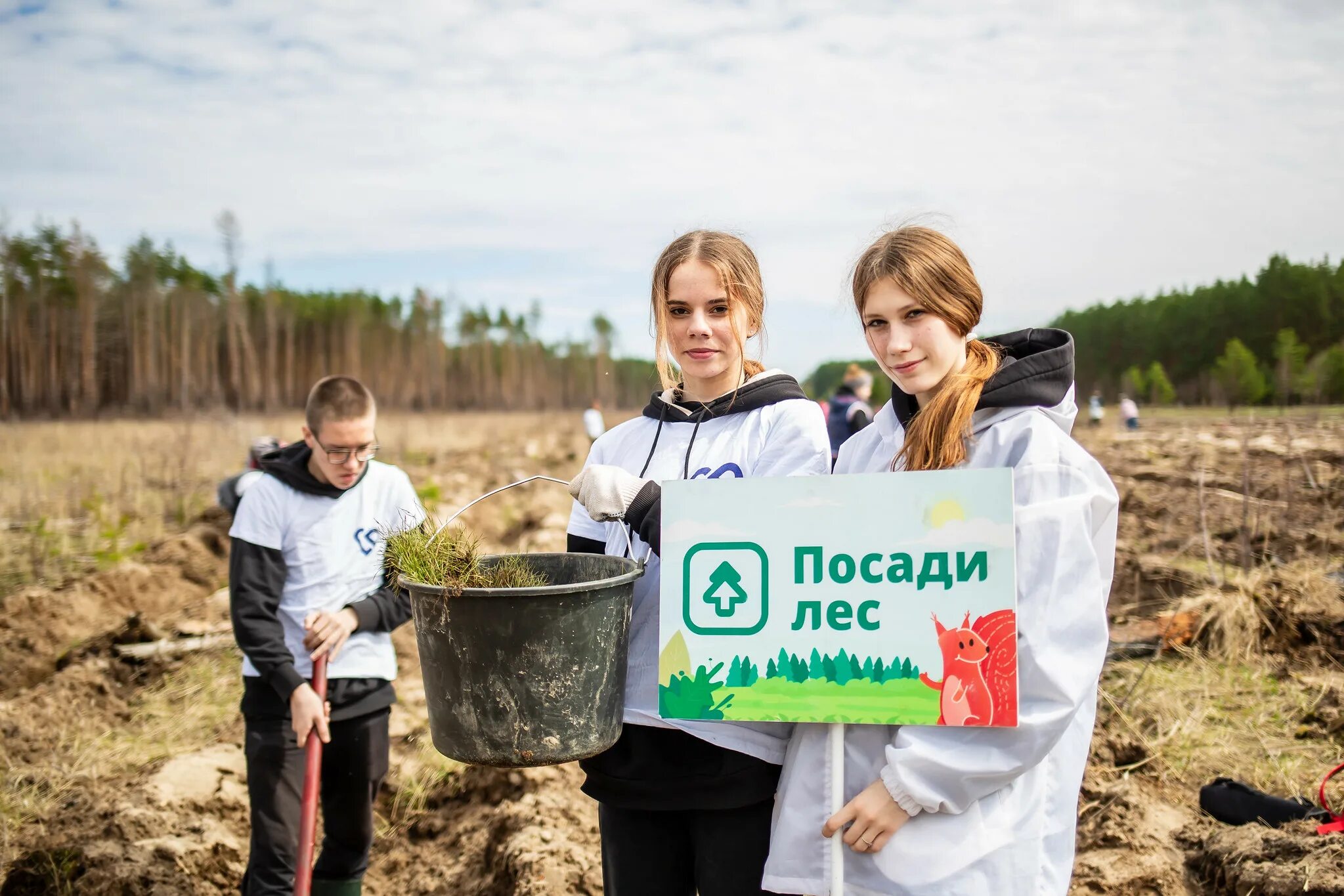 Посади лес. Волонтерство сажают лес. Проект посади лес. Высадка деревьев волонтерами. Конкурс чалавек свайго лесу