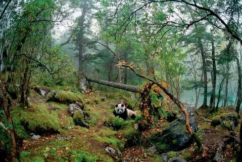 Natural habitat