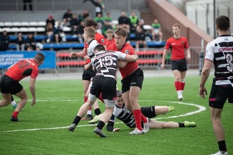 Чемпионат по регби высшая лига