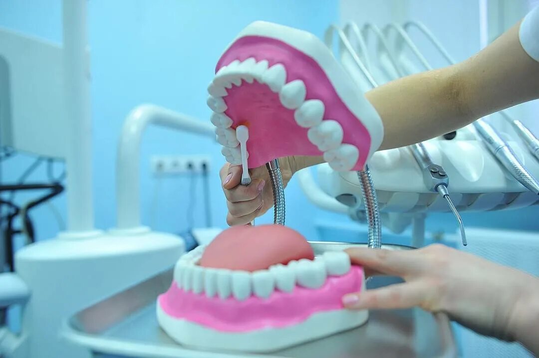 Границы базиса пластиночного протеза. Техника протезиста. Техник протезист конечностей. Ортопедическаястоматолшия. Техник протезист конечностей.