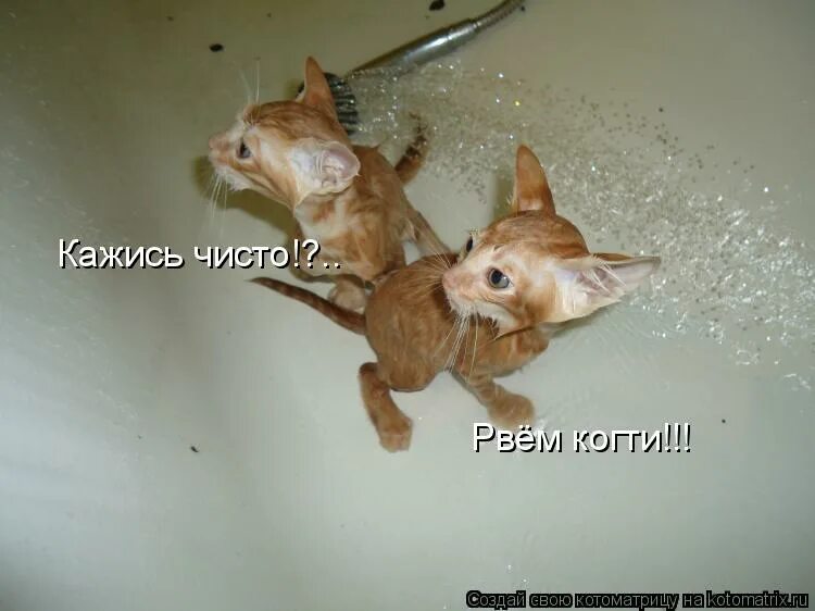 вырвать чистый