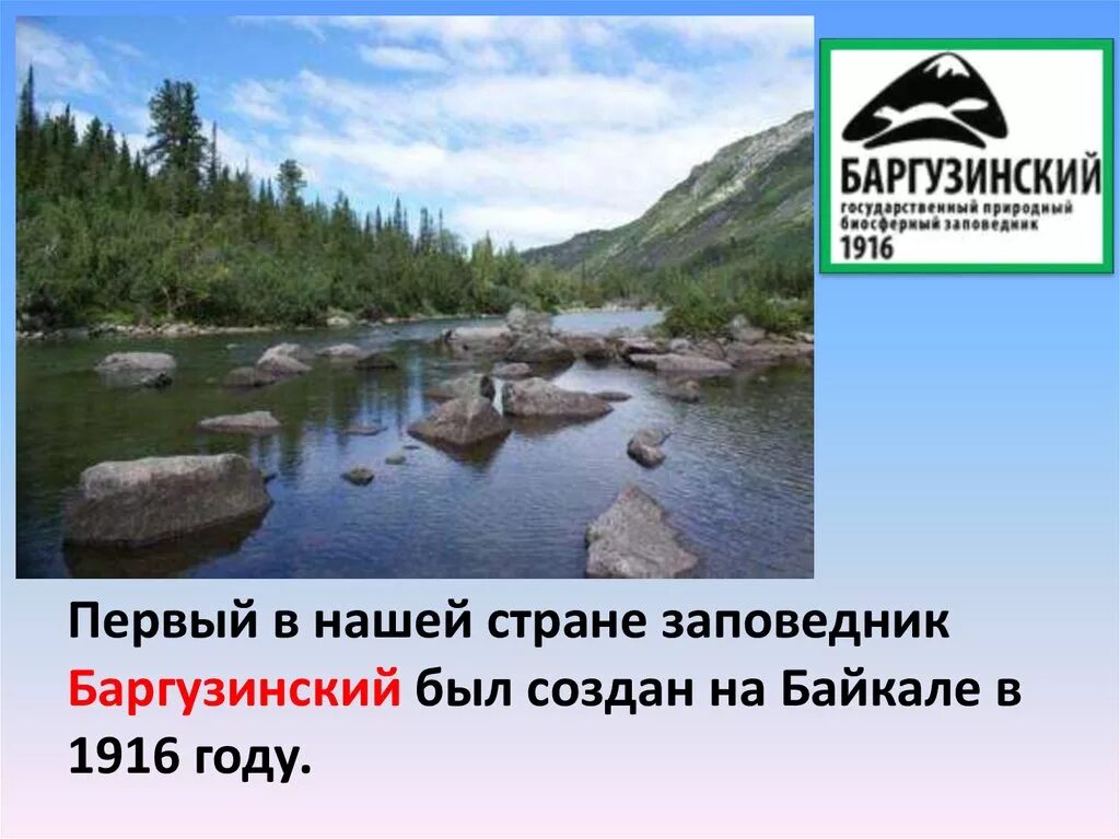 Заповедник созданный в 1916 году. Баргузинский заповедник России. Баргузинский заповедник 1916. Первый заповедник в России Баргузинский. Заповедник 1916 года.